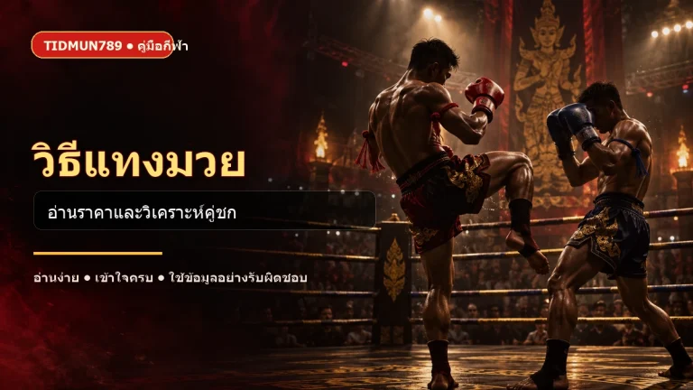 ภาพประกอบวิธีแทงมวยและการวิเคราะห์คู่ชก