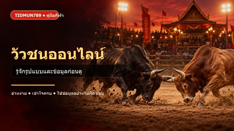 ภาพประกอบวัวชนออนไลน์และการตรวจข้อมูลการแข่งขัน